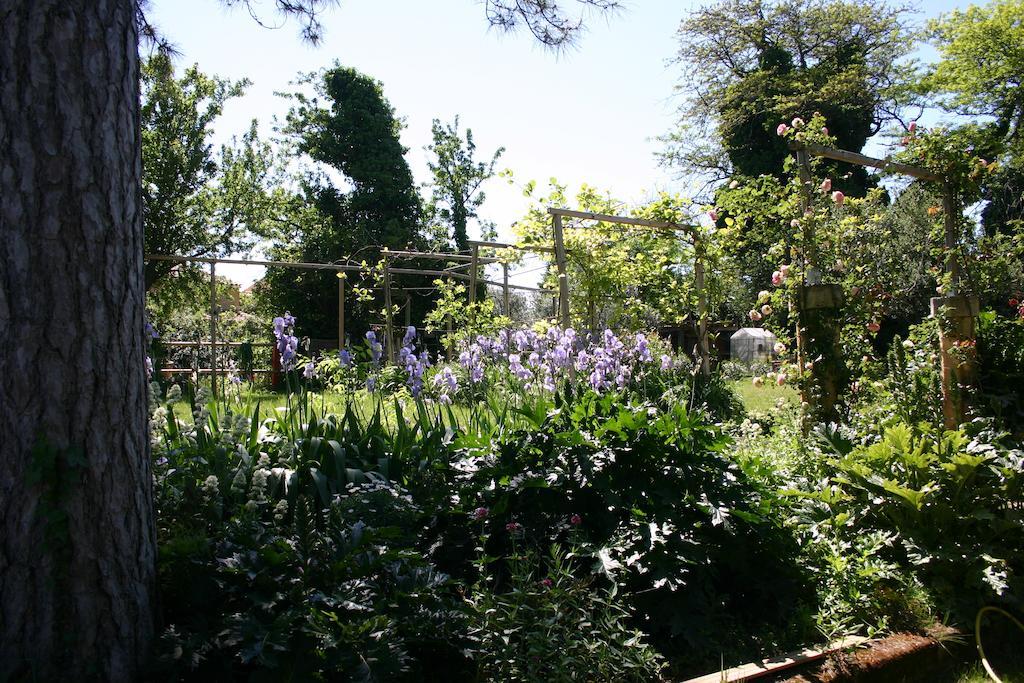 Les Routes Du Monde Bed & Breakfast Saint-Geniès-de-Comolas Dış mekan fotoğraf